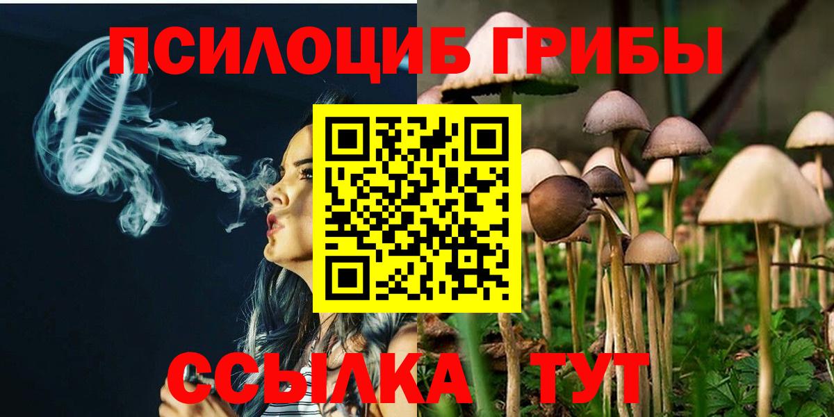Скопин  Галлюциногенные грибы мицелий  где можно купить наркотик  Вход с VPN  Галлюциногенные грибы мухоморы 